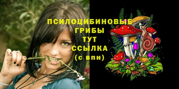 ГАЛЛЮЦИНОГЕННЫЕ ГРИБЫ Галич