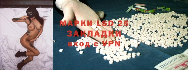 mdpv Бородино