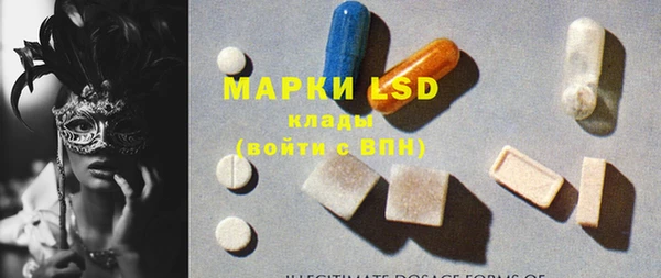 mdpv Бородино