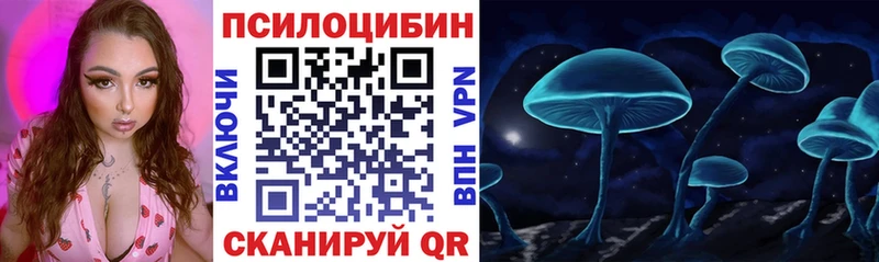 Галлюциногенные грибы Psilocybine cubensis Корсаков